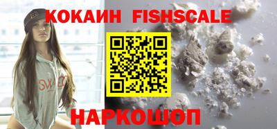 шишки Обь