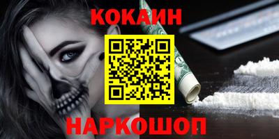 шишки Обь