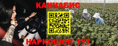 шишки Обь