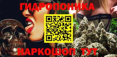 шишки Обь