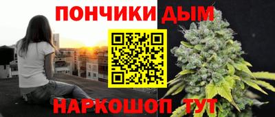 шишки Обь