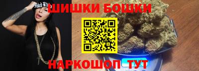 шишки Обь