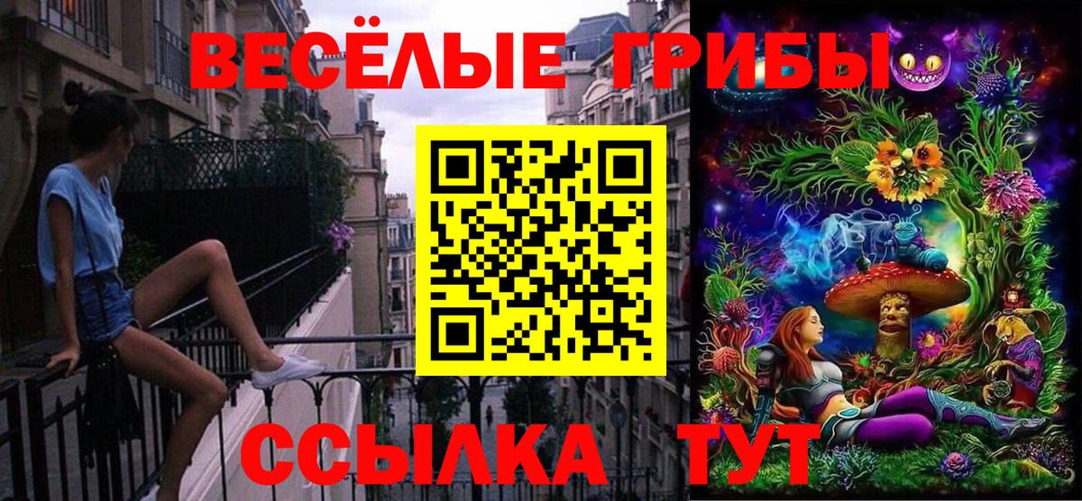 Галлюциногенные грибы Cubensis  что такое наркотик  Вход с VPN  Татарск  Галлюциногенные грибы Psilocybe 