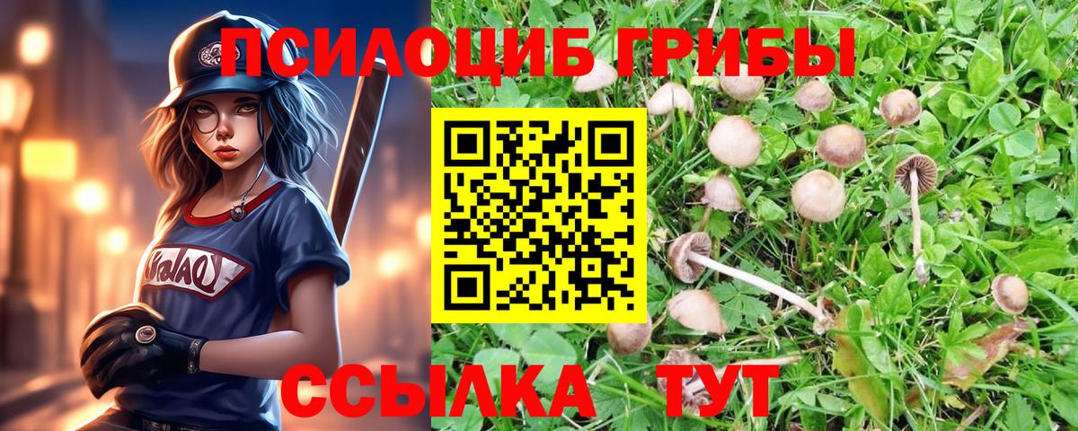 Псилоцибиновые грибы прущие грибы Татарск